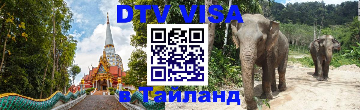 Оформление DTV визы под ключ: стоимость и тарифы, только загранпаспорт - 19.11.2025 